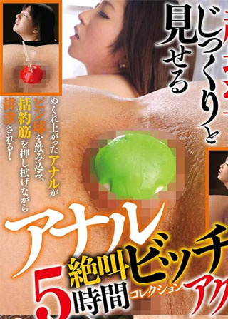 超接写でじっくりと見せるアナルビッチアクメ 絶叫5時間コレクション [DVD]